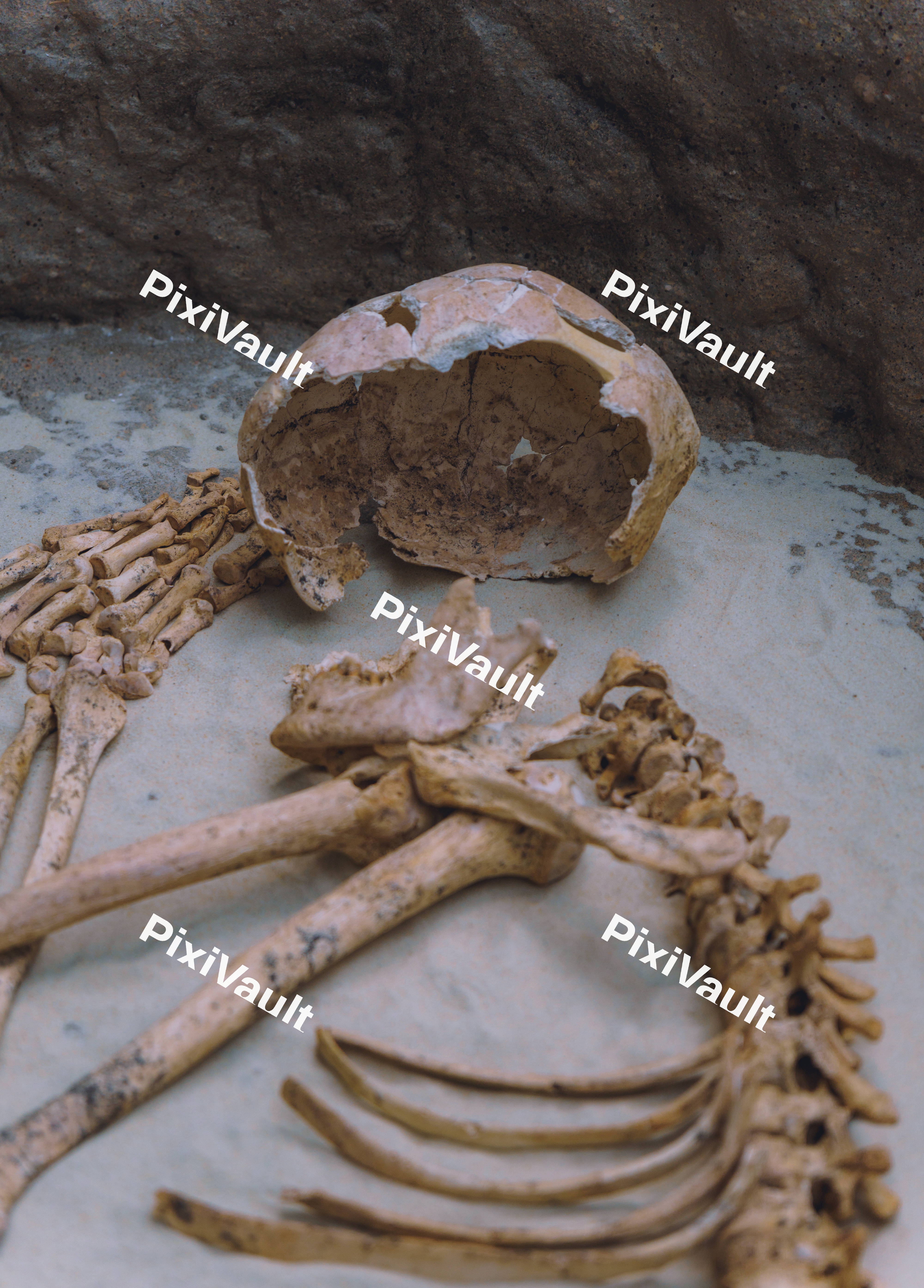 Scattered Remains (Close up)